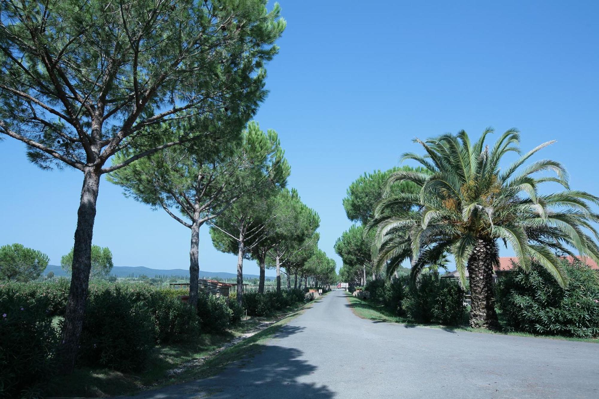 Agriturismo Cannavota Follonica Exterior foto
